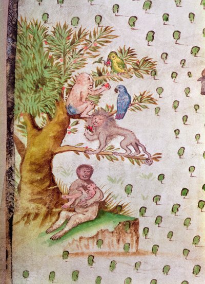Map of the St. Lawrence Estuary, detail of parrots and monkeys (detail) by French School